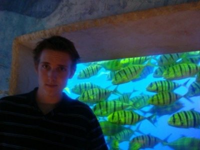 Fishies